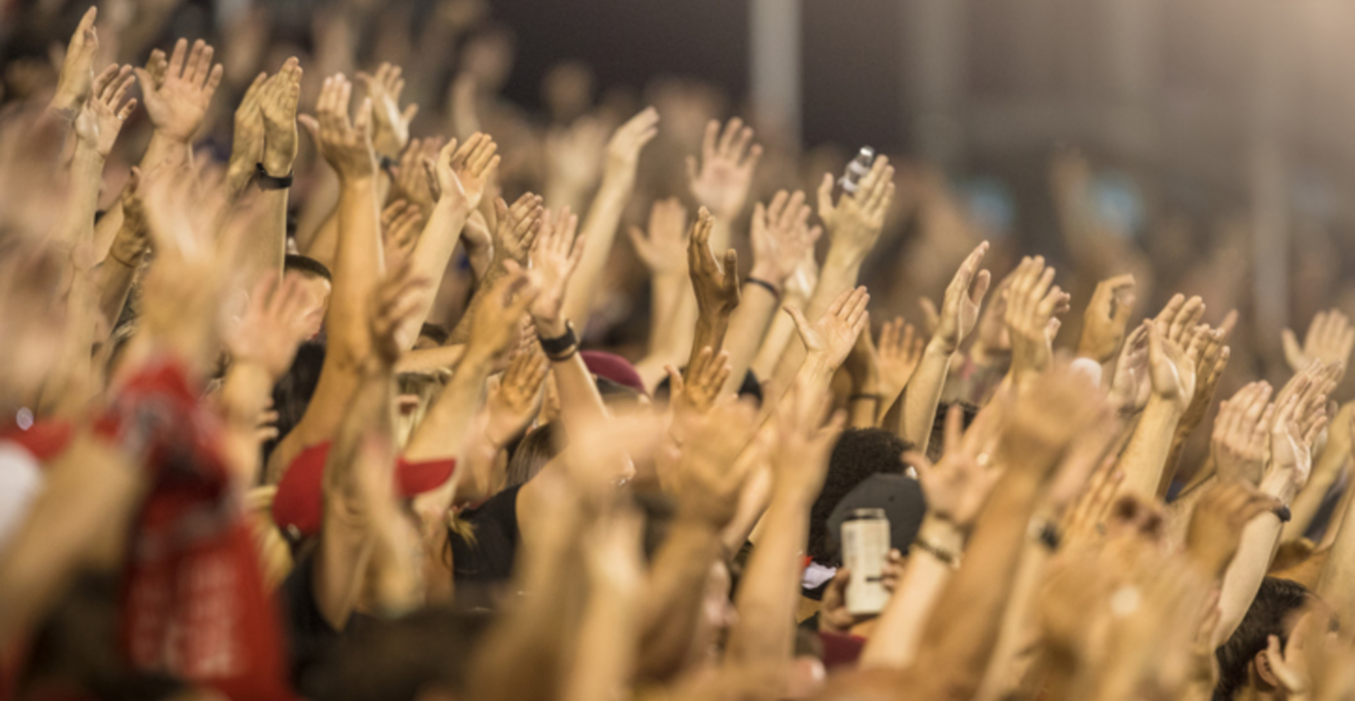 Fans Arms